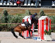 Apolloni Baby Arko GioCav2013 S5 1906 : Apolloni Gianluca, Baby Arko, Campionati Italiani Giovani Cavalli, Cattolica, ph Stefano Secchi ©